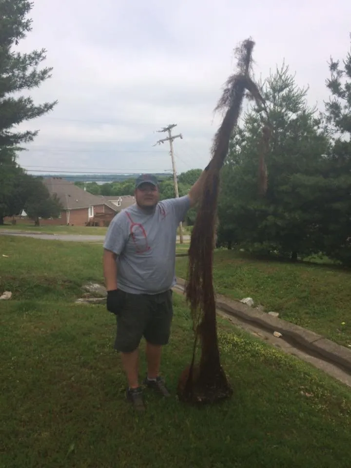 Slide of Drain Doctor