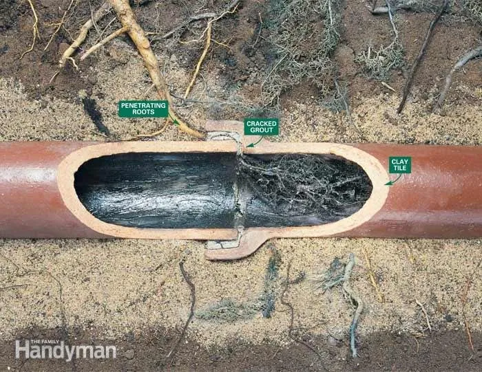 Reliable plumbing repair for homes in Glendale, CA by Drain Doctors Plumbing & Rooter