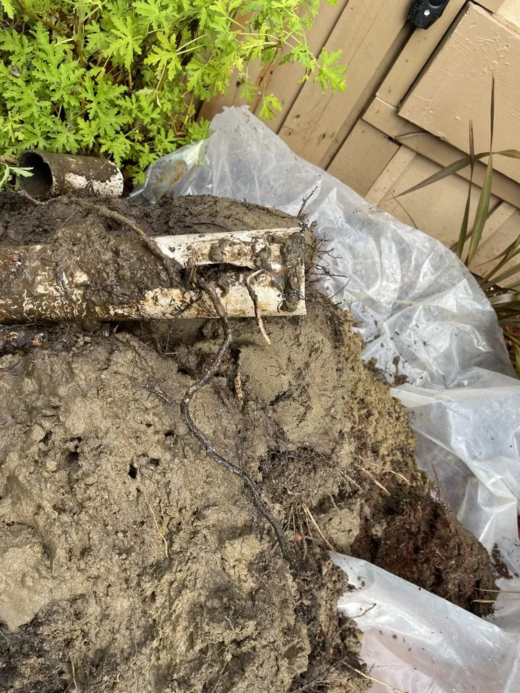 Expert emergency plumbing in Simi Valley, CA by Drain Doctors Santa Barbara County