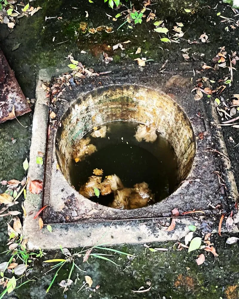 Reliable leak detection experts serving Simi Valley, CA - Drain Doctors Ventura County