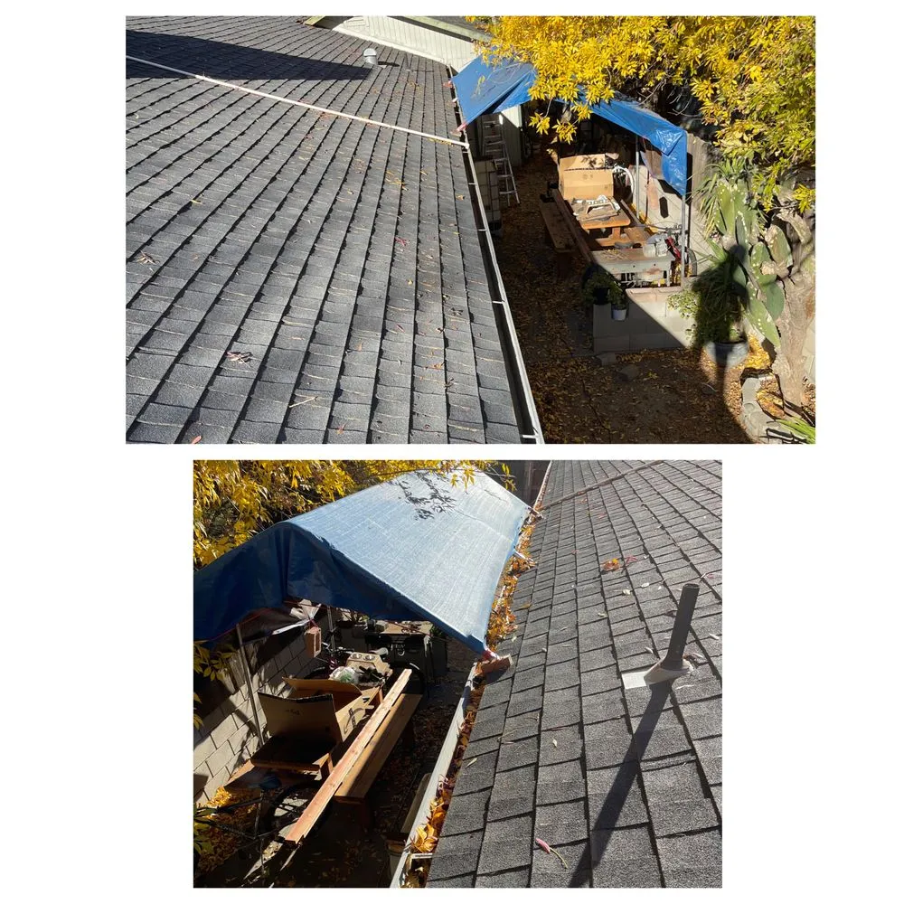 Slide of Drain Dogs and Gutters