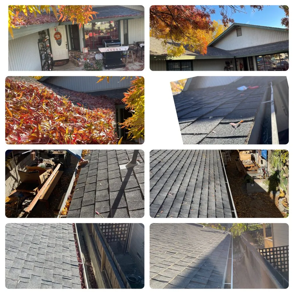 Slide of Drain Dogs and Gutters