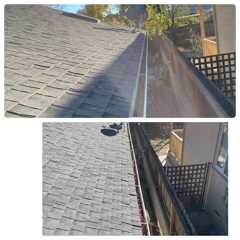 Slide of Drain Dogs and Gutters