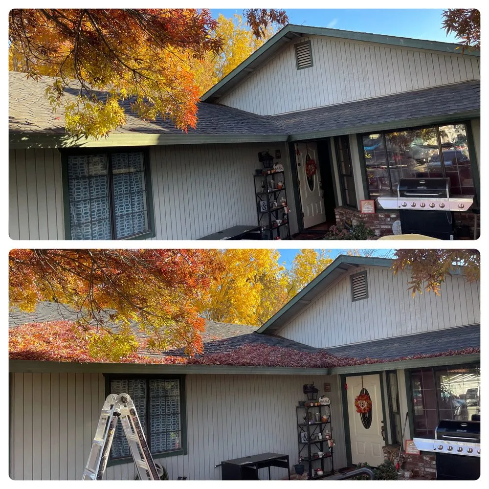 Slide of Drain Dogs and Gutters