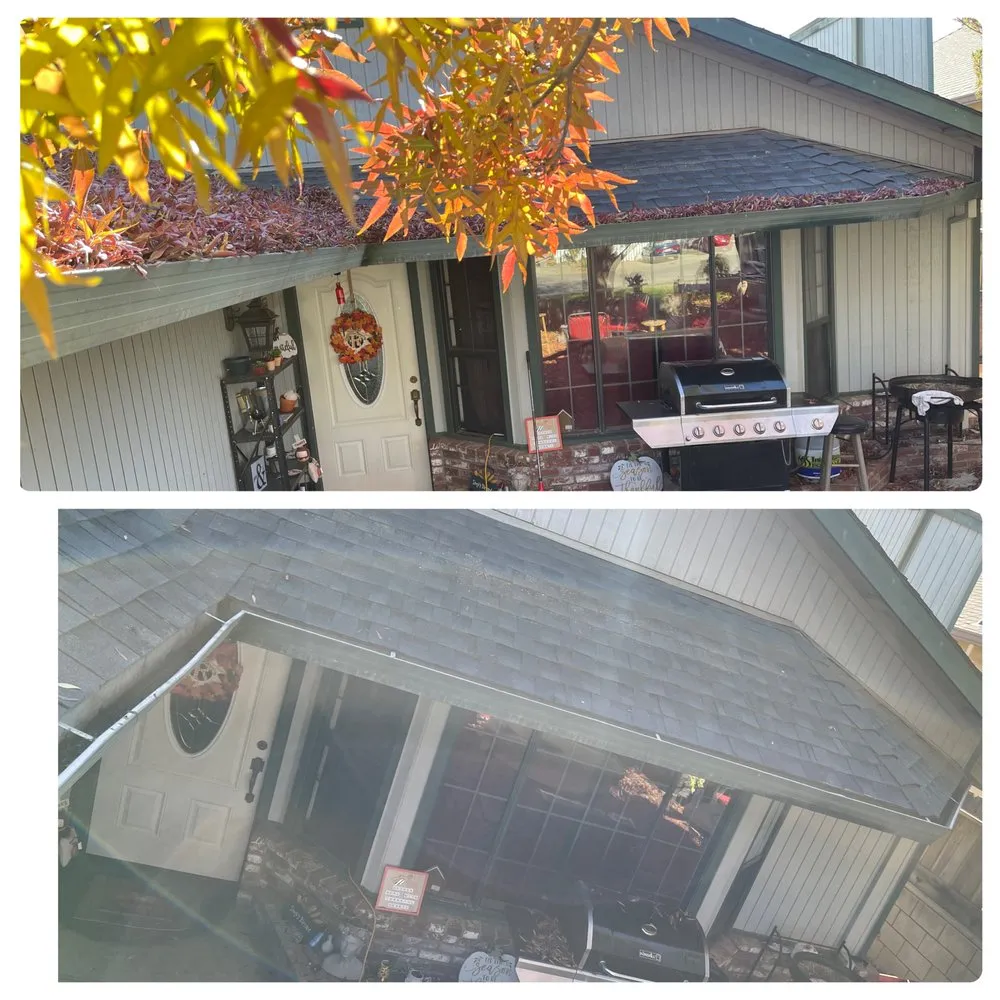 Slide of Drain Dogs and Gutters