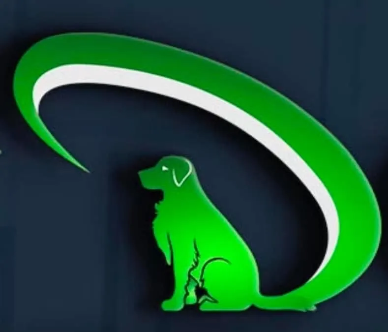 Slide of Drain Dogs and Gutters