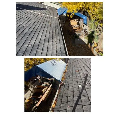 Drain Dogs and Gutters Logo