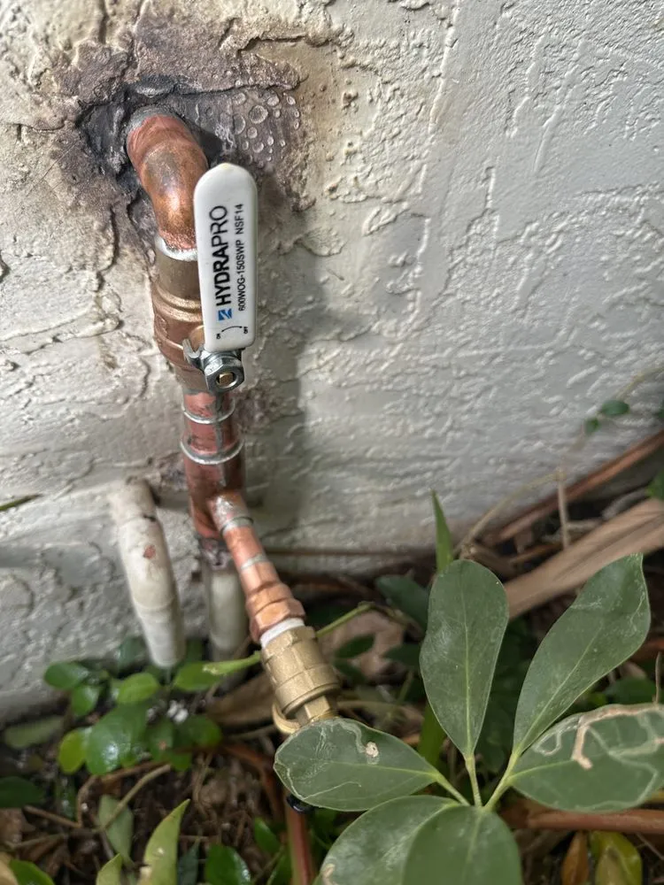 Slide of Drain Dudes