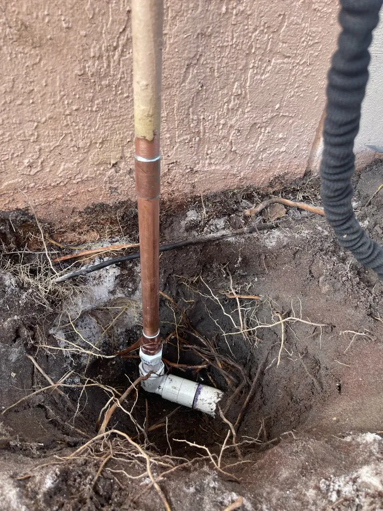 Slide of Drain Dudes