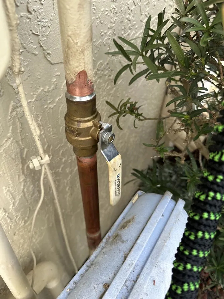 Slide of Drain Dudes