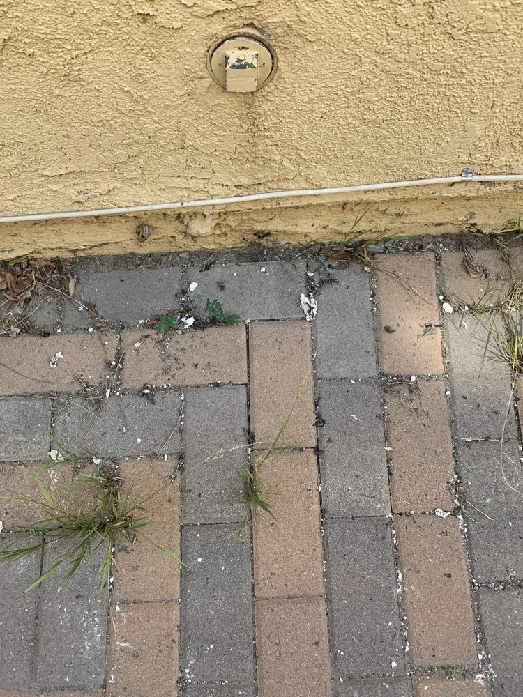 Slide of Drain Edge Rooter