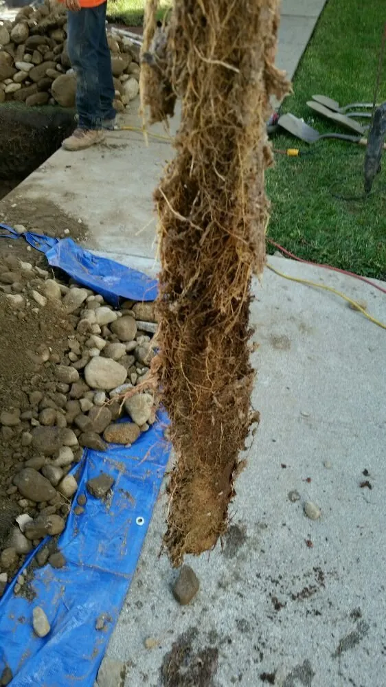 Slide of Drain Experts