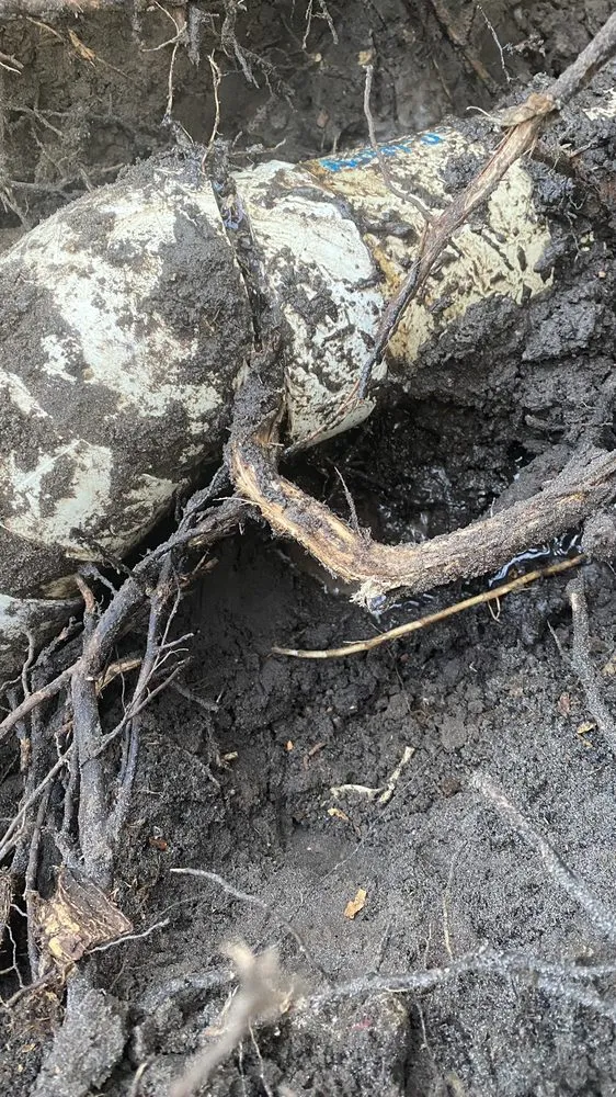 Slide of Drain Flo Plumbing