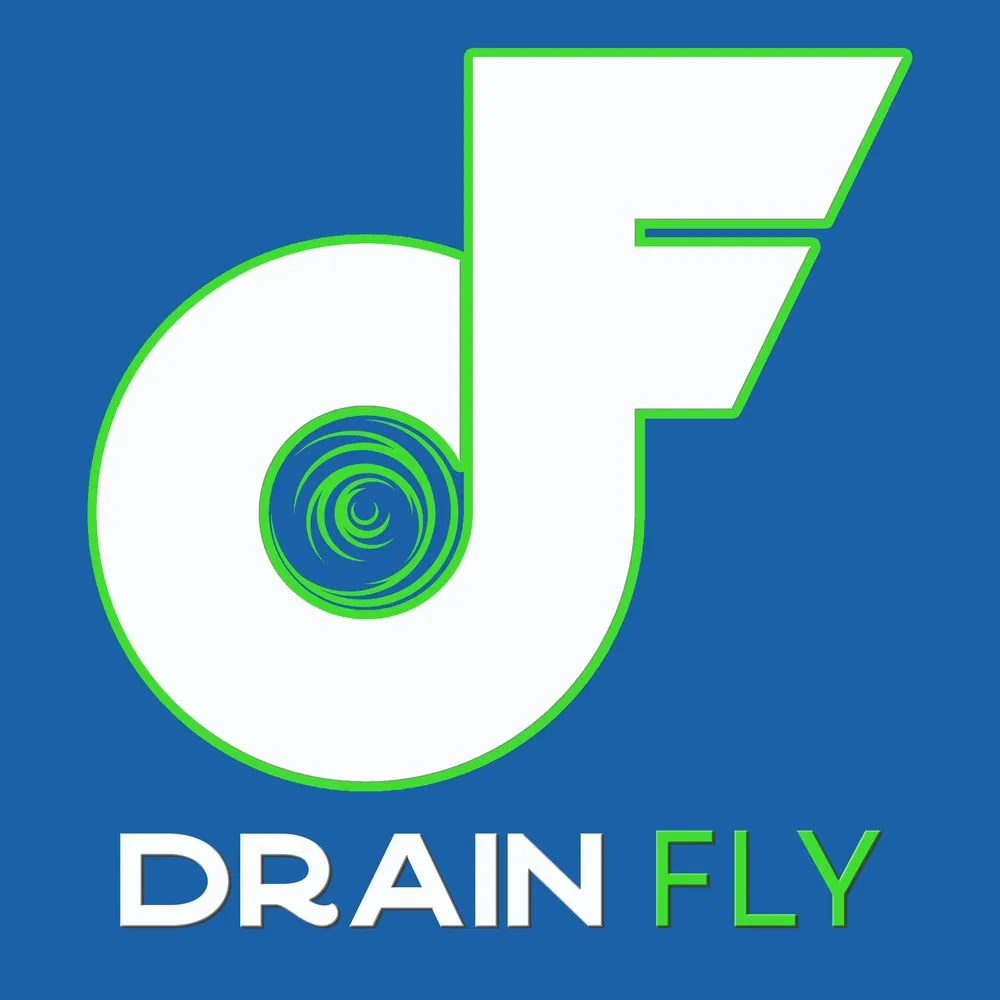 Slide of Drain Fly