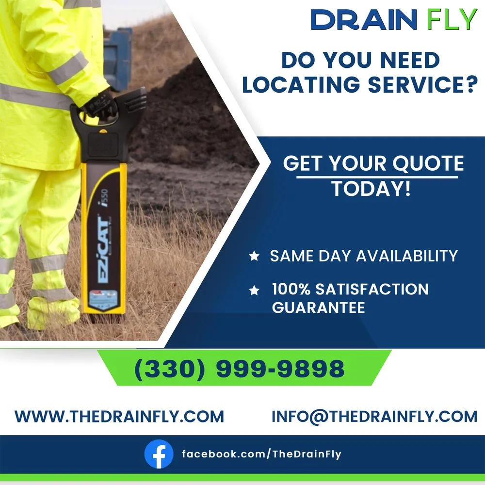 Slide of Drain Fly