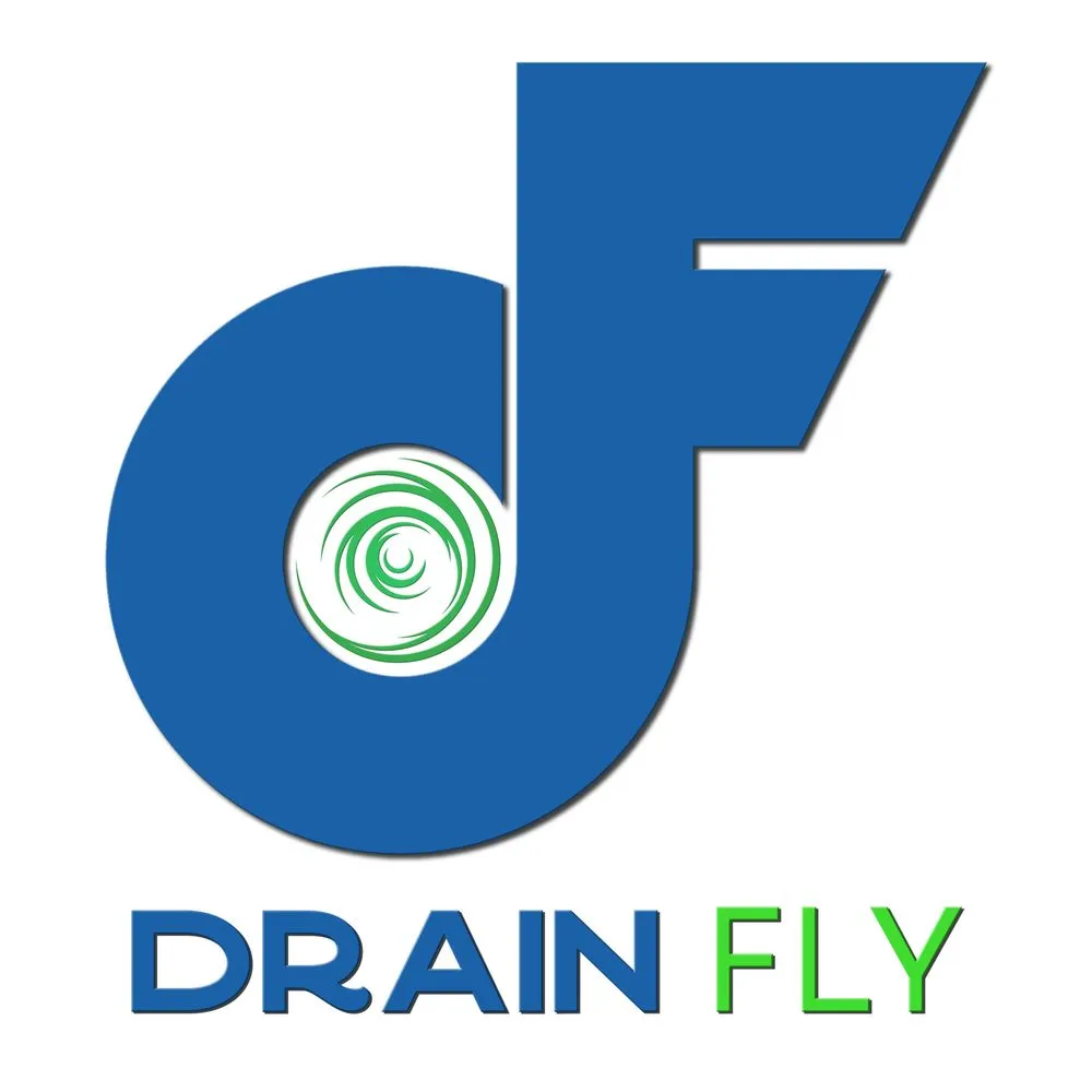 Slide of Drain Fly