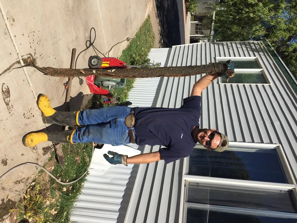 Slide of Drain Free Rotor Service