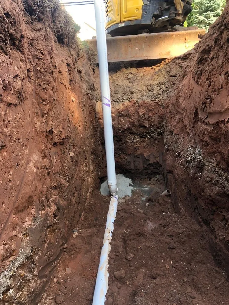 Slide of Drain Genie