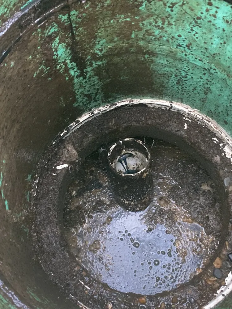 Slide of Drain Hound