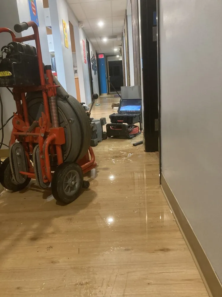 Slide of Drain Hound