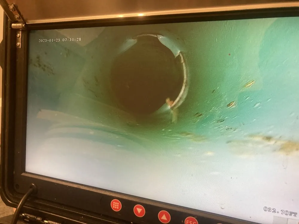 Slide of Drain Hound