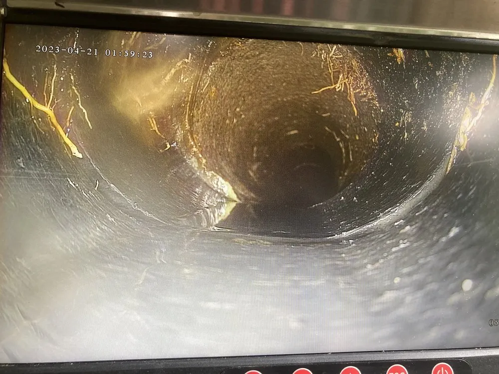 Slide of Drain Hound