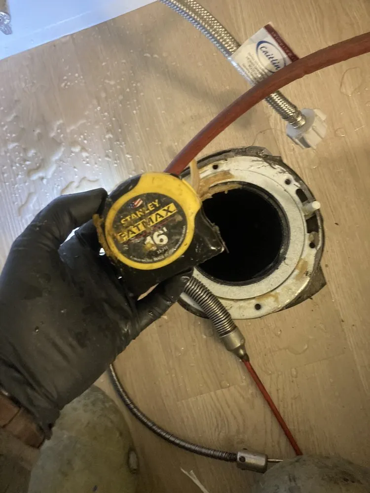 Slide of Drain Hound