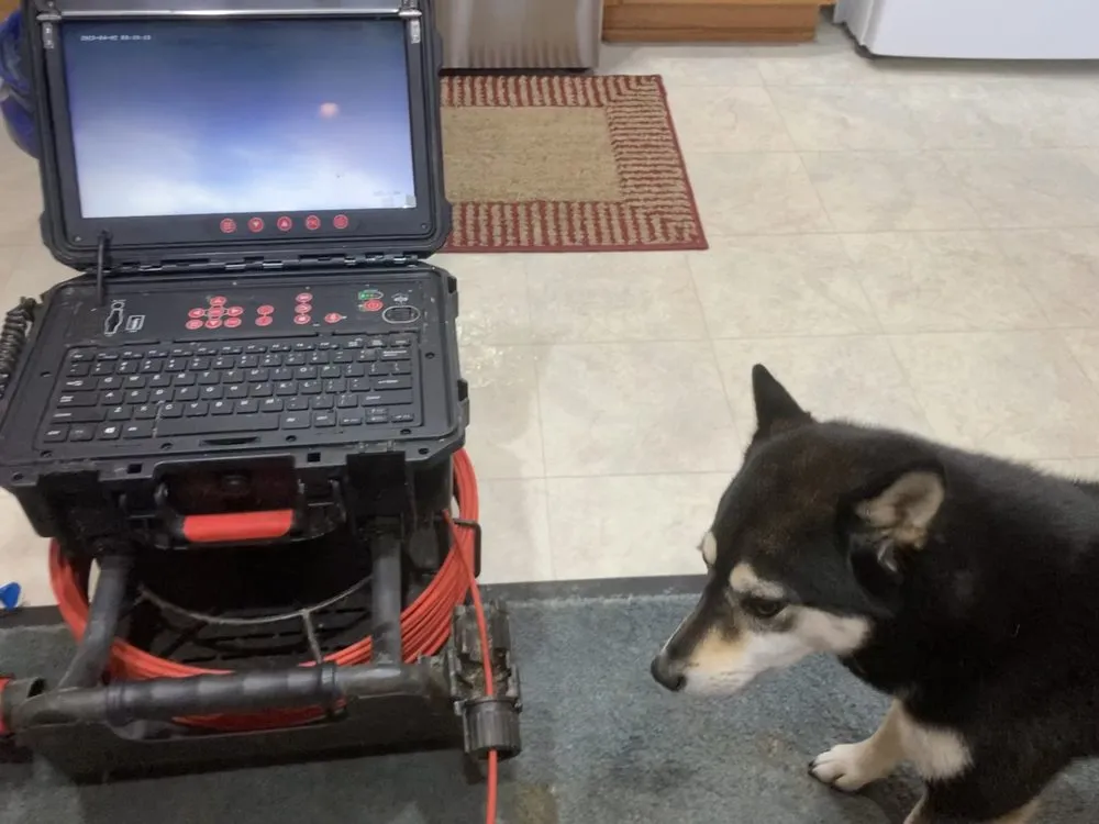 Slide of Drain Hound