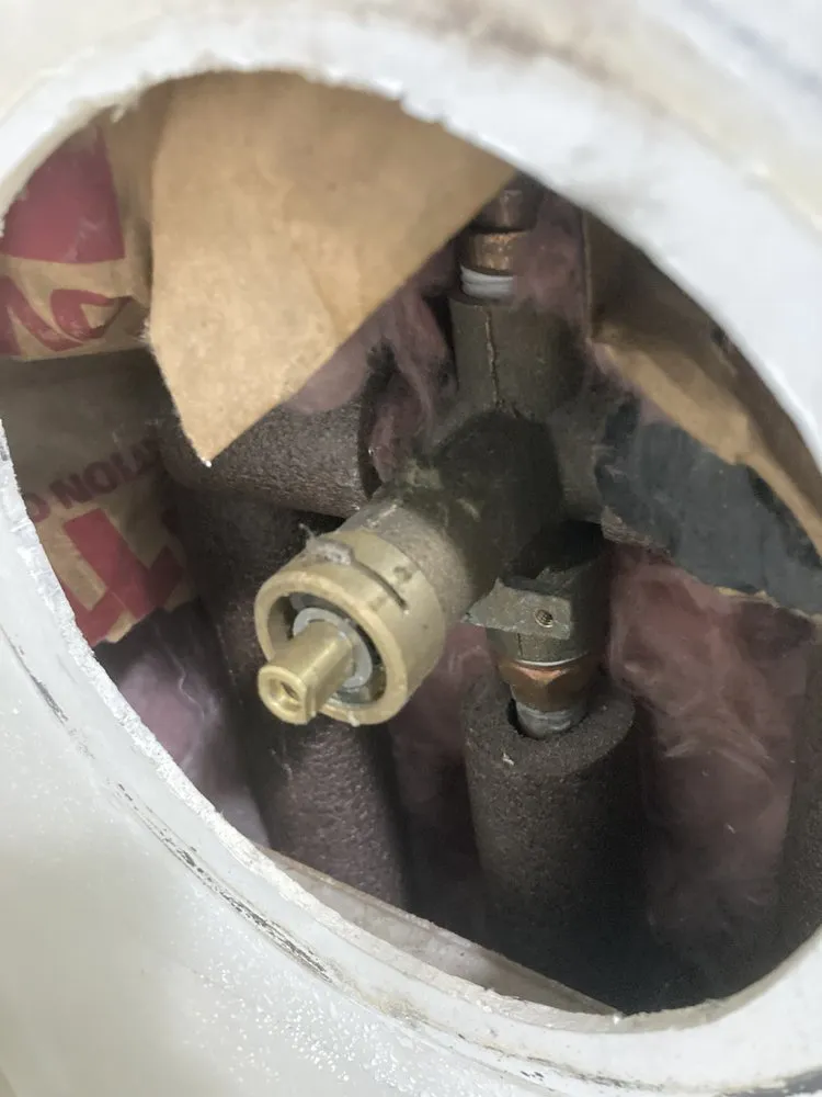 Slide of Drain Hound