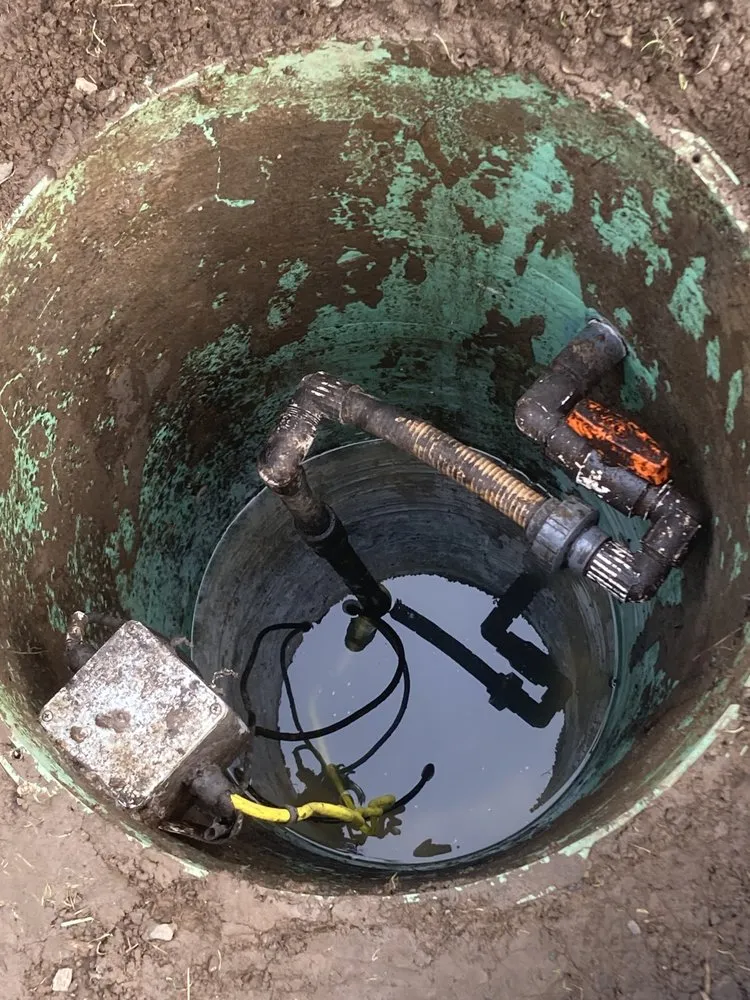 Slide of Drain Hound