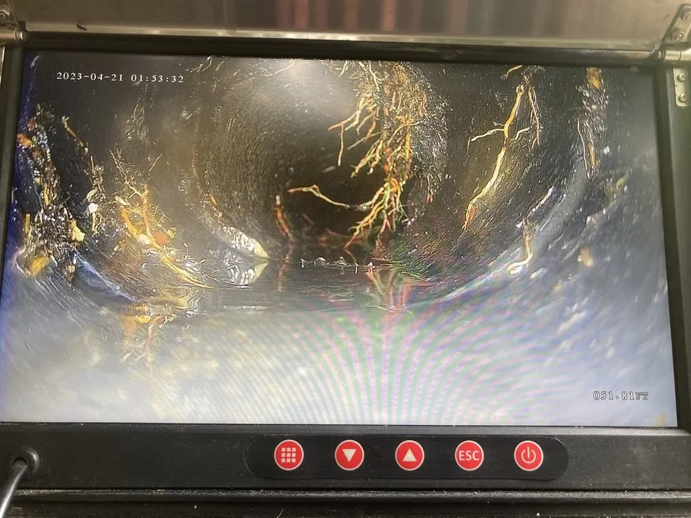 Slide of Drain Hound