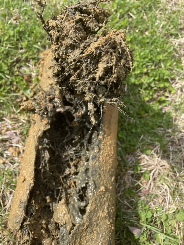 Professional emergency plumbing for homes in Swedesboro, NJ by Drain Innovations