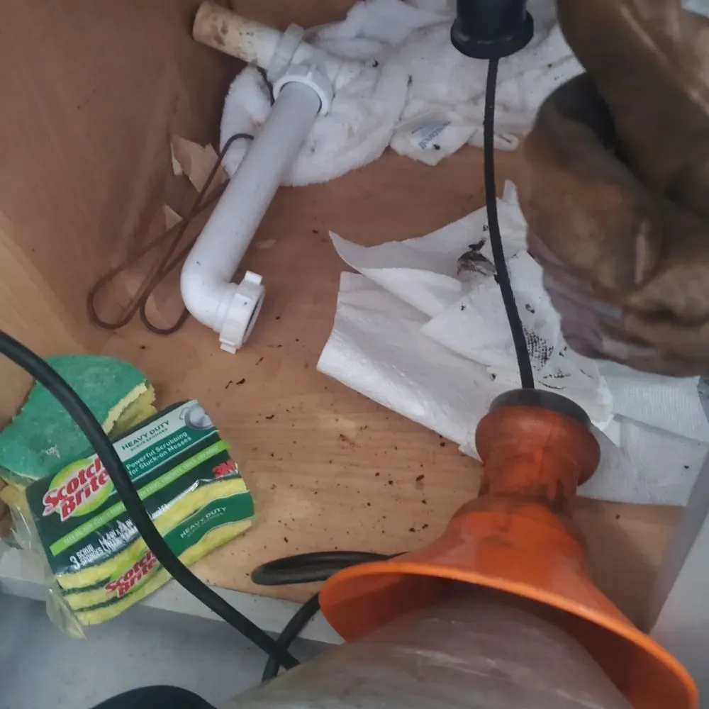 Slide of Drain Invaders