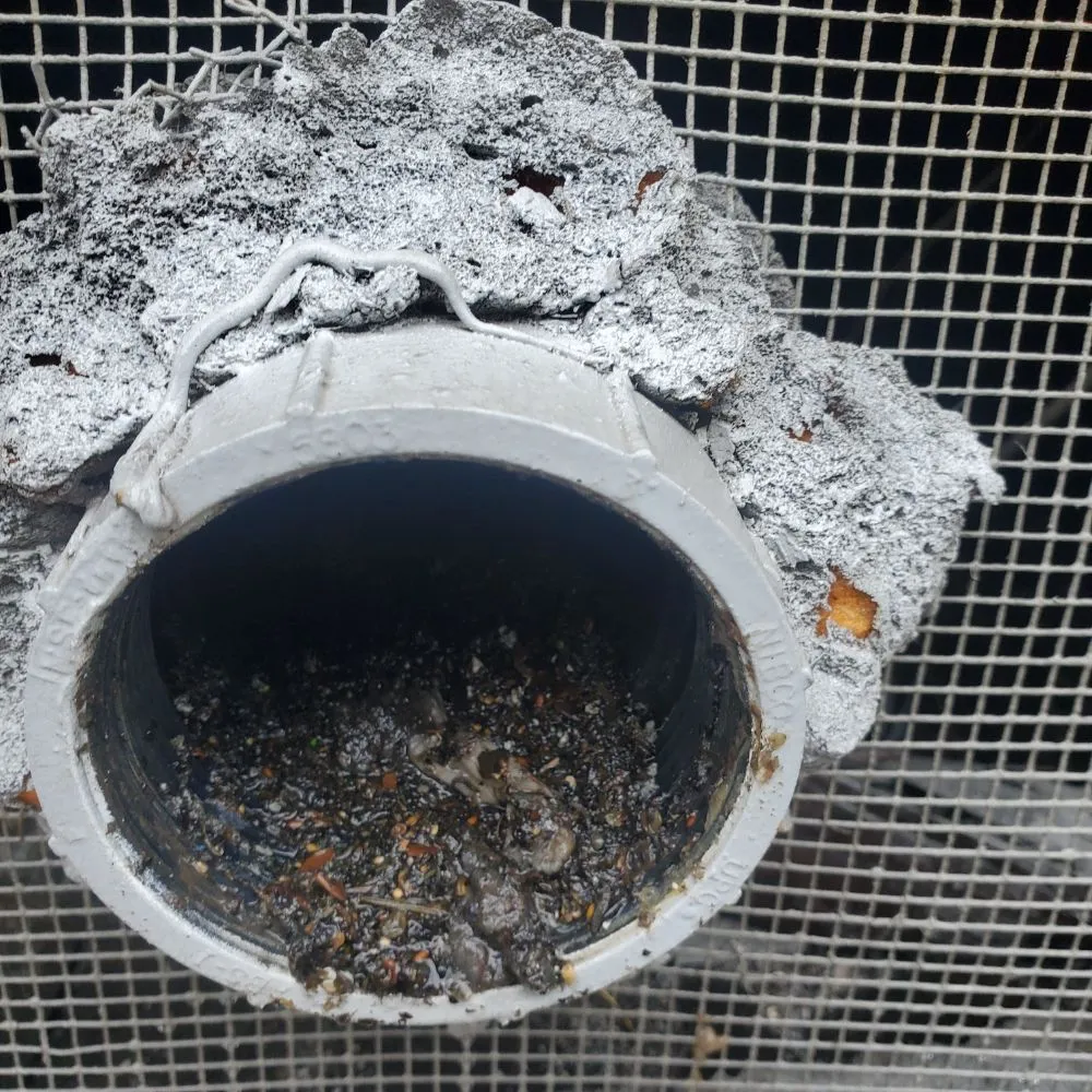 Slide of Drain Invaders