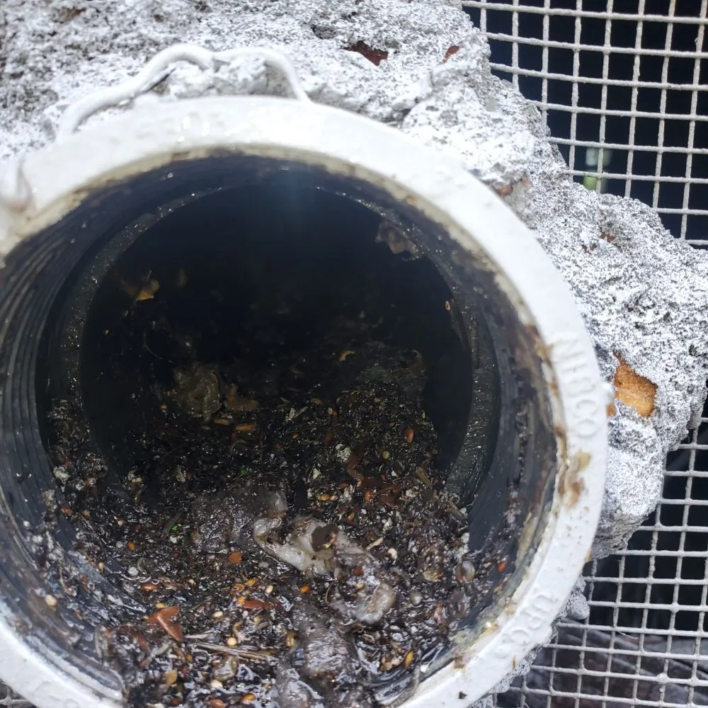 Slide of Drain Invaders