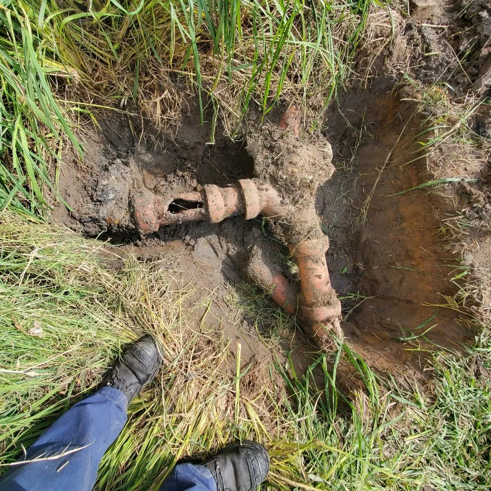 Slide of Drain Invaders