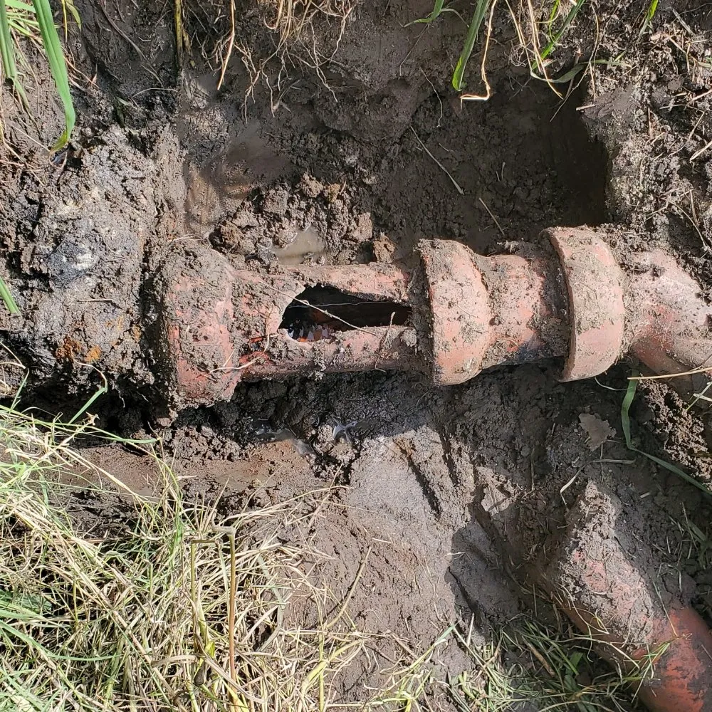 Slide of Drain Invaders