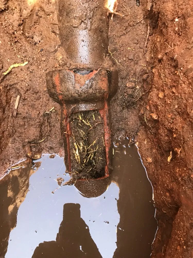 Slide of Drain it Rooter