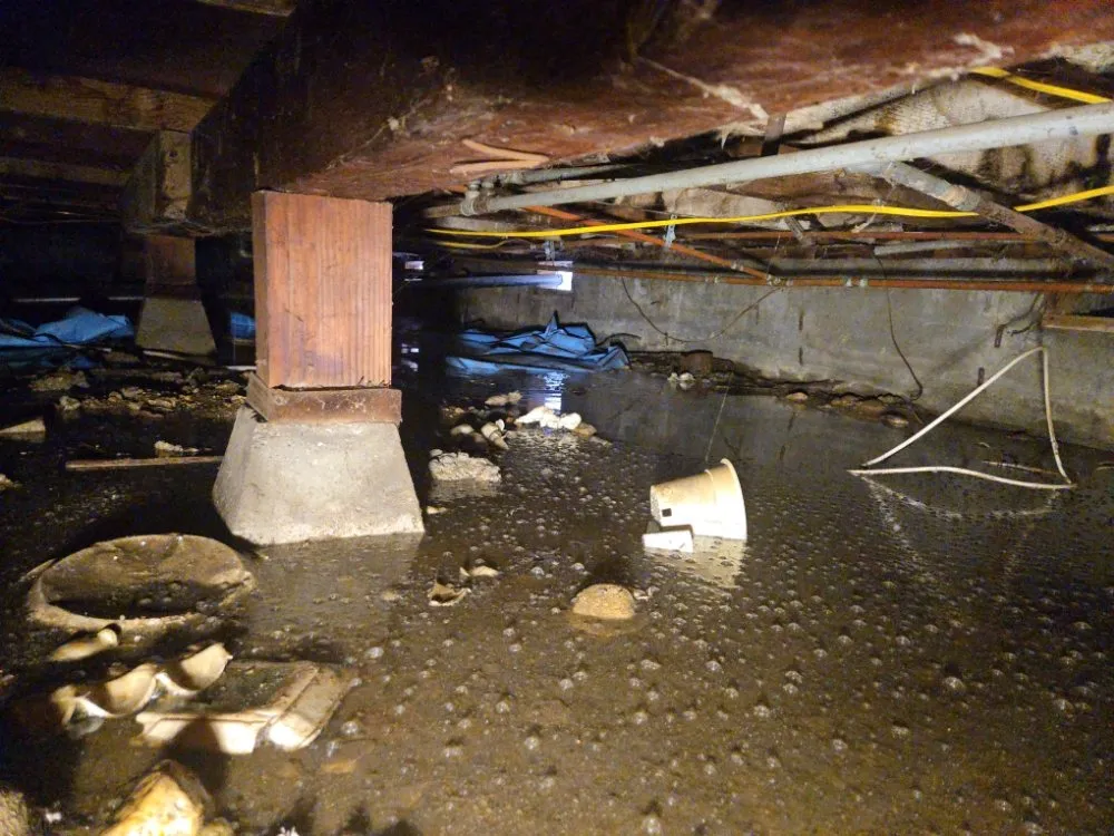 Slide of Drain It Rooter