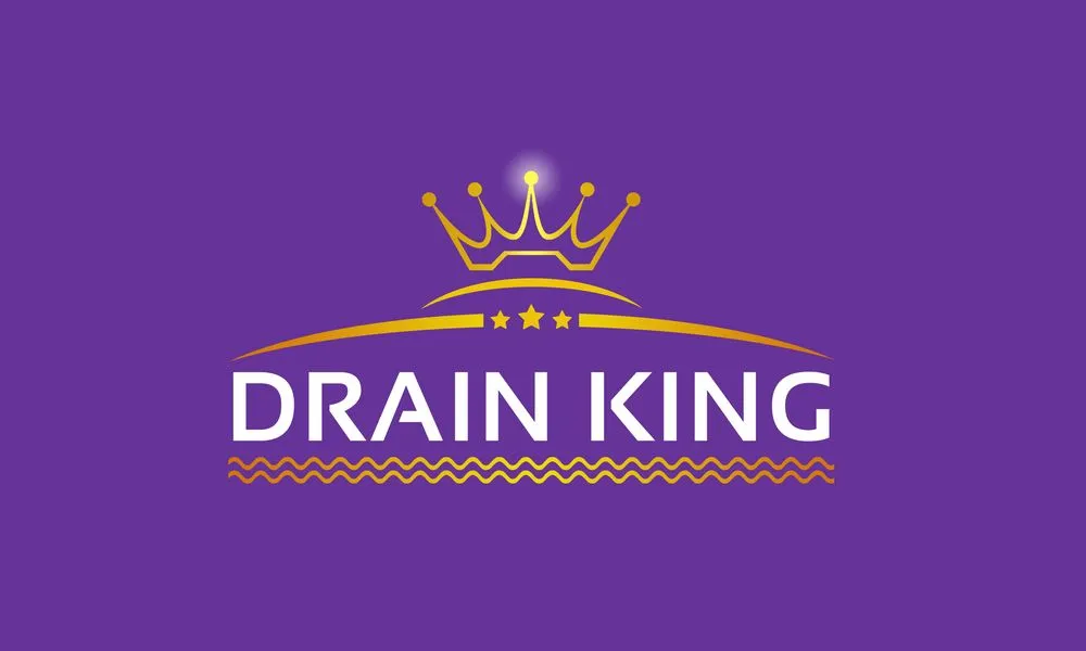 Slide of Drain King