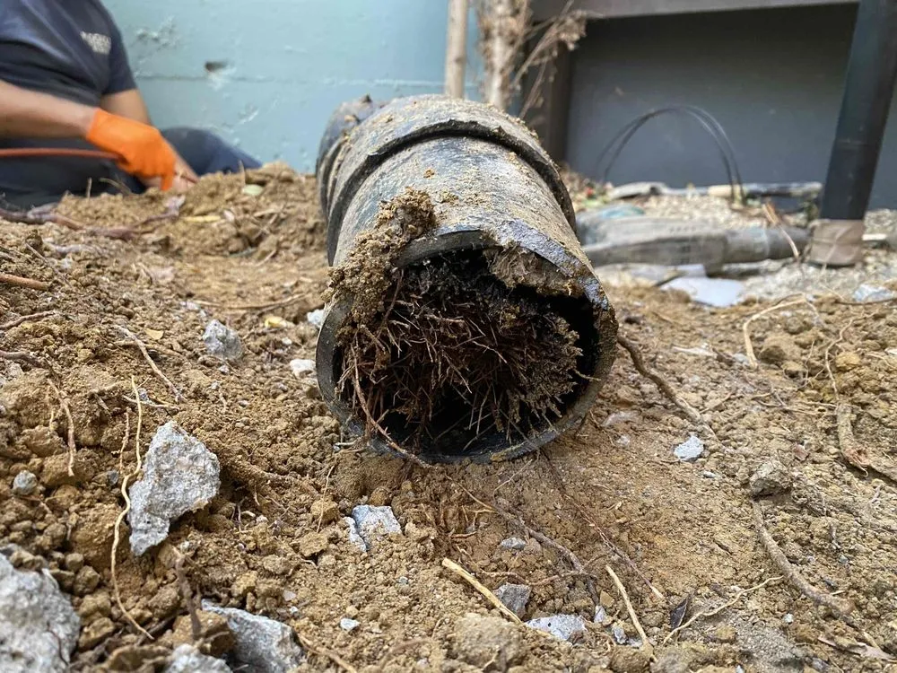 Slide of Drain Kings