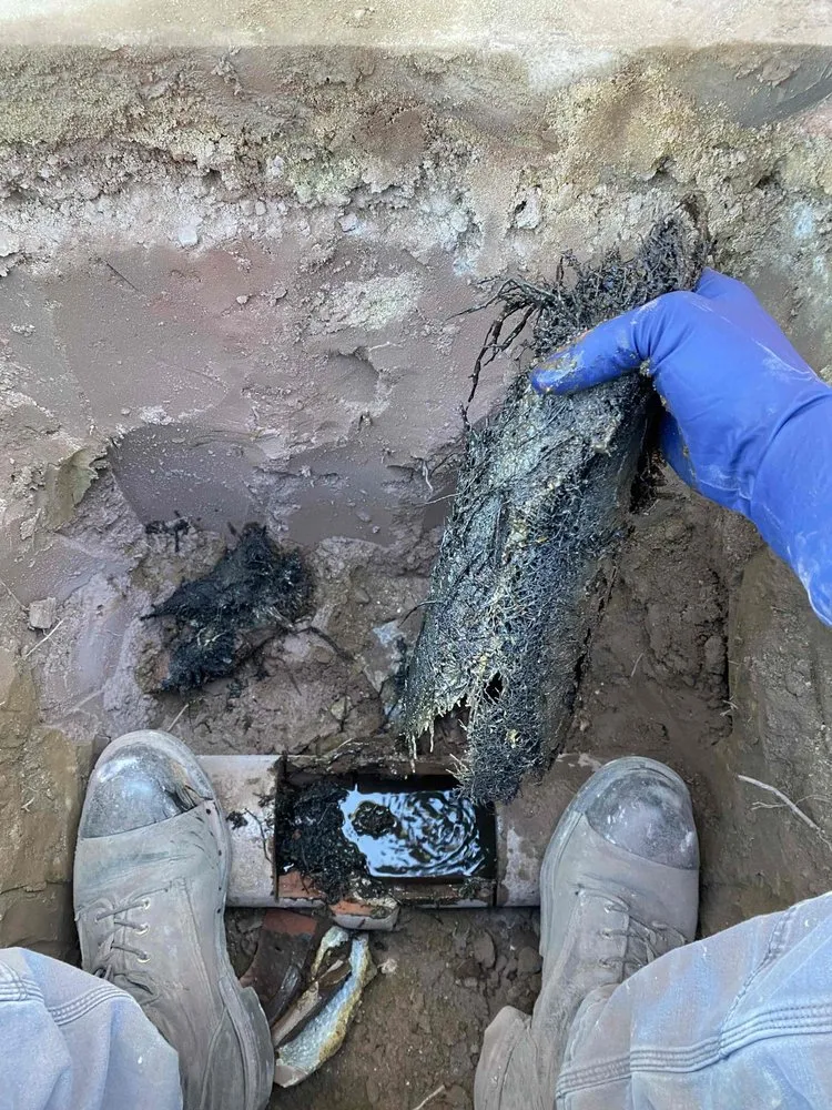 Slide of Drain Kings