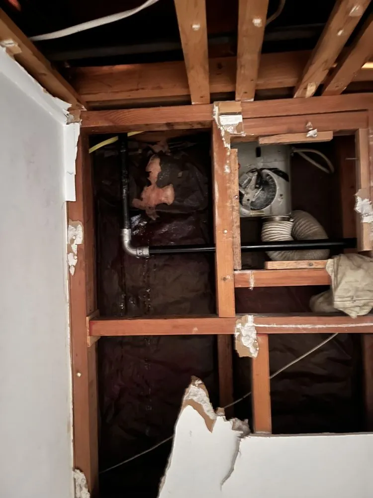 Slide of Drain Kings