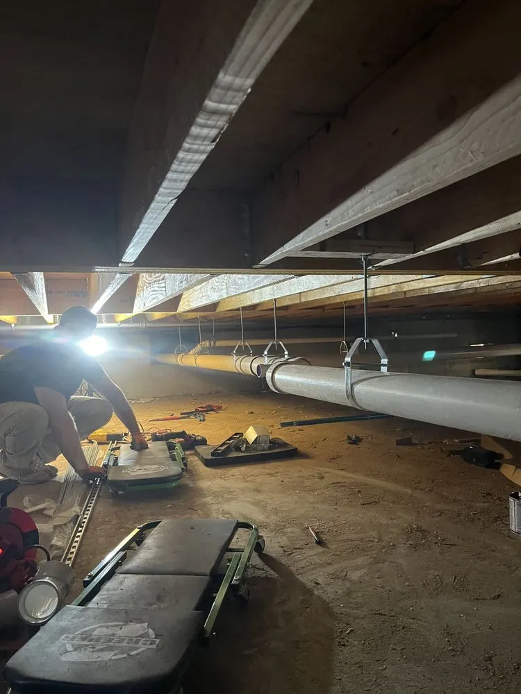 Slide of Drain Kings