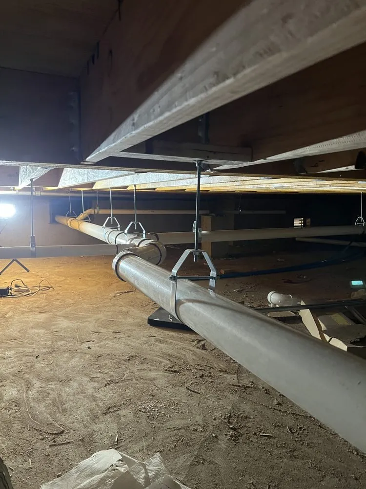 Slide of Drain Kings