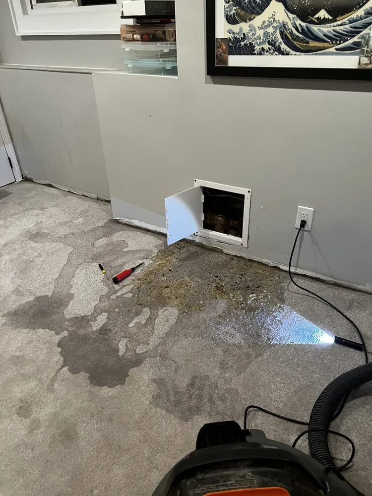 Slide of Drain Kings