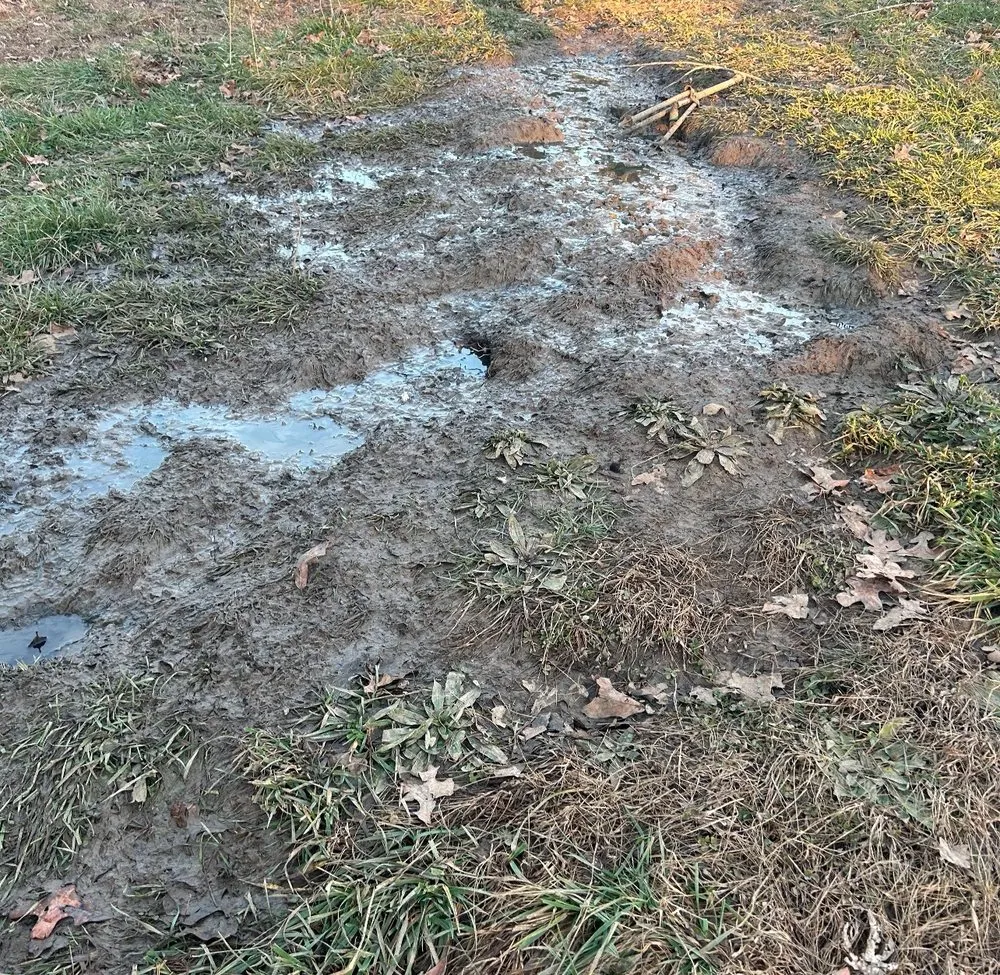 Slide of Drain Kings