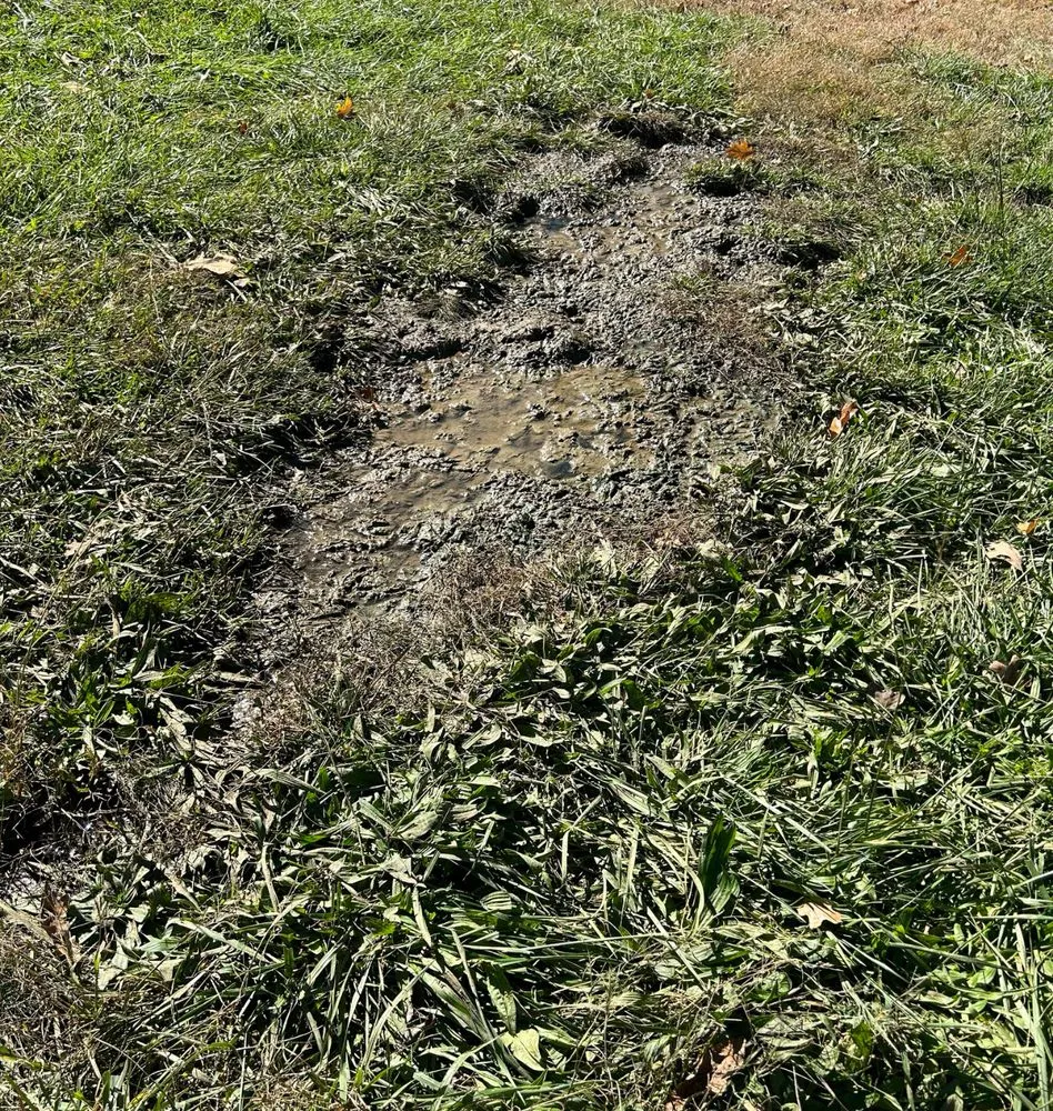 Slide of Drain Kings