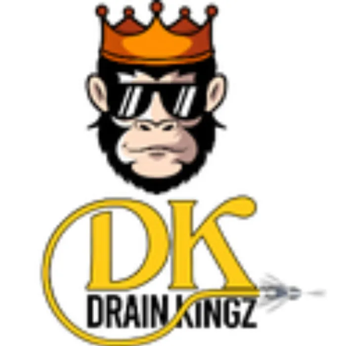 Slide of Drain Kingz