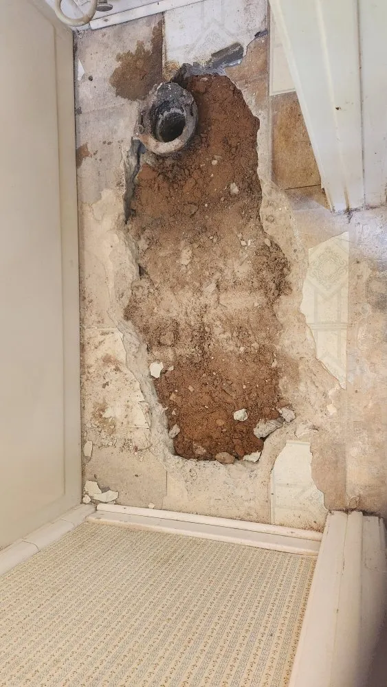 Slide of Drain Master 24/7